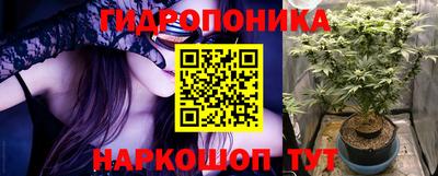 спайс Кинель