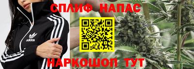 ГАЛЛЮЦИНОГЕННЫЕ ГРИБЫ Кимры