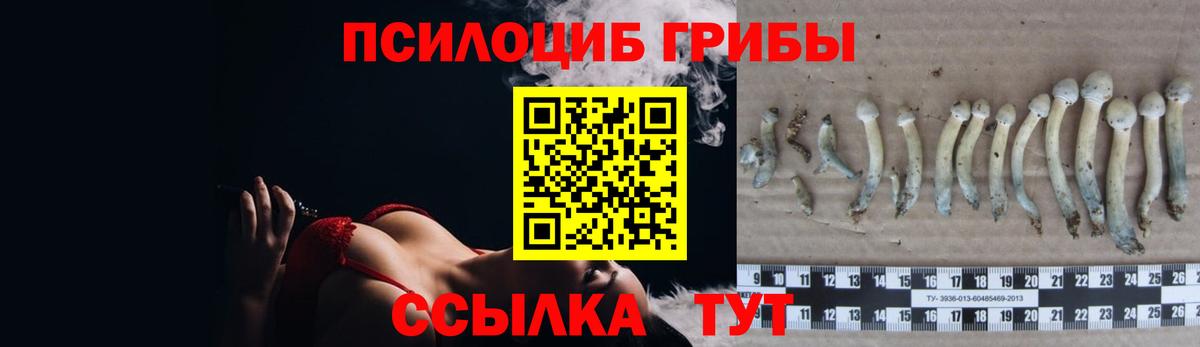 Галлюциногенные грибы Psilocybe  Галлюциногенные грибы ЛСД  Вход с VPN  Котельники 